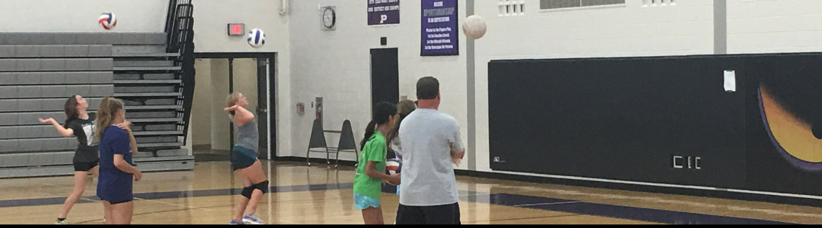 Volleyball 2019
