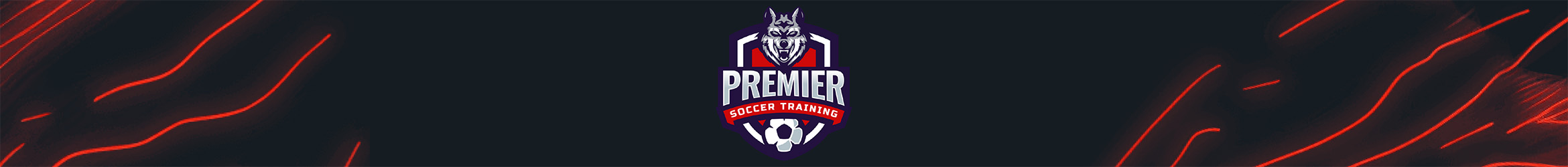 Premier Soccer Training