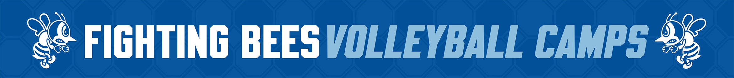 Fighting Bees Volleyball Camp