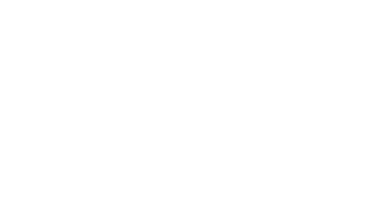 Iron Physio